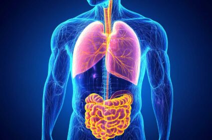 Uncover CBD Impact What You Need to Know About Liver Function
