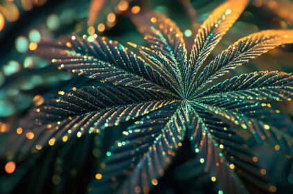Unlocking CBD: Discover How It Affects Your Body’s Science