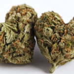 Select Boost Heart Health: Explore CBD’s Benefits for Hypertension Boost Heart Health: Explore CBD’s Benefits for Hypertension