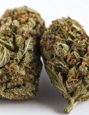 Select Boost Heart Health: Explore CBD’s Benefits for Hypertension Boost Heart Health: Explore CBD’s Benefits for Hypertension