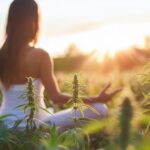 u4842768563_Magnesium_and_CBD_relaxation_effect_–ar_169_–v__6a41d545-edfd-4a9f-90c5-27d8f2fb94cc_3