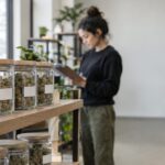 Massachusetts cannabis dispensary shelf with flower jars and staff inspecting products