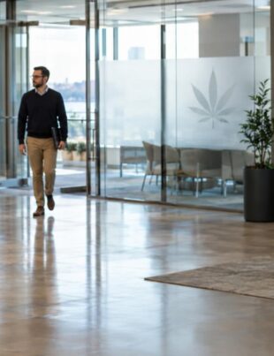 Office lobby with people and subtle cannabis symbol on frosted glass panel
